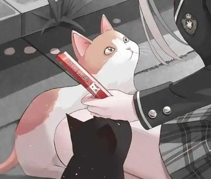 【西檬之家】斯慕圈新人入圈指南：从术语到实践，一站式掌握BDSM