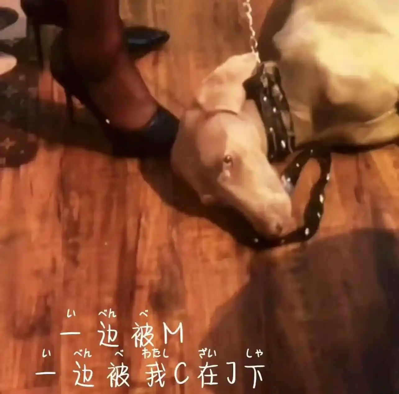 【西檬之家】字母圈新人必知的DT解析