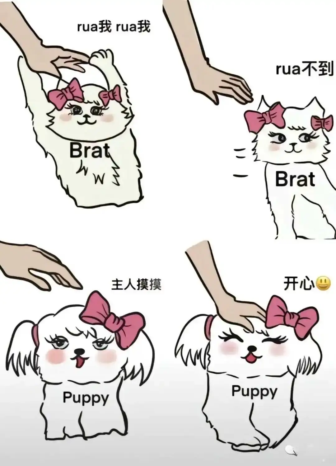 【西檬之家】新手入圈必备：字母圈 Dom/sub 关系全解析