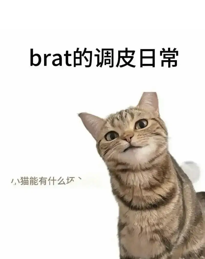 【西檬之家】Brat属性解析：当顽童与支配相遇的字母圈奇妙之旅
