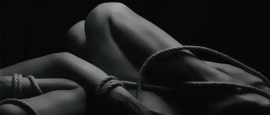 BDSM：实用指南
