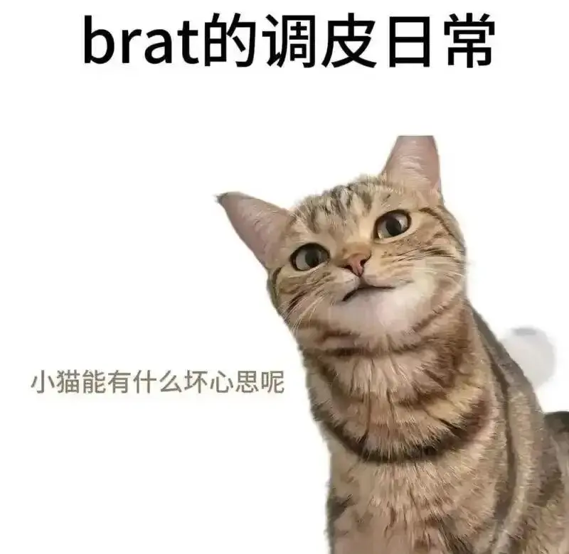 字母圈 - 微信图片_20251203212836_109_19