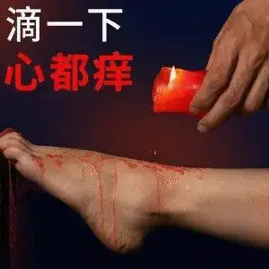 西檬之家-K9犬系是什么？字母圈新人入圈指南