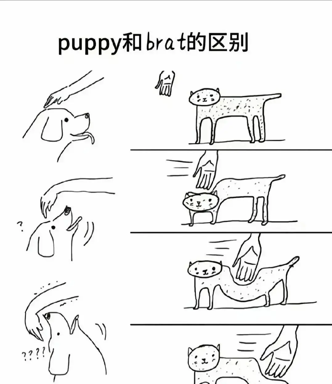 西檬之図-字母圈新人入圈指南：从新人到角色扮演老手，一步步了解BDSM核心实践